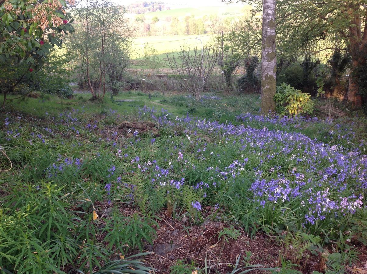 Cruachan House New Galloway Luaran gambar